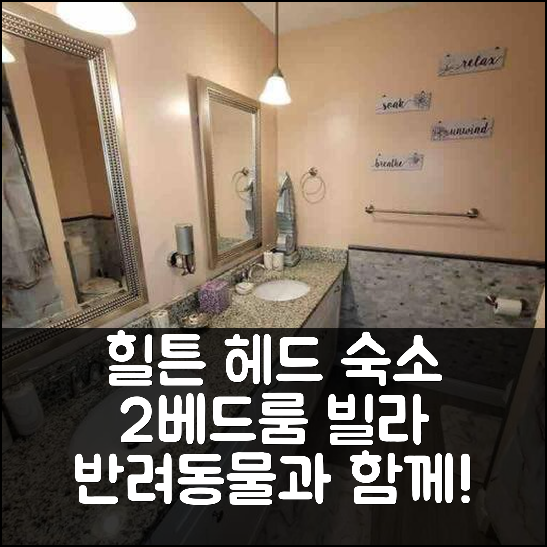 힐튼 헤드 아이랜드 숙소 여행 호텔 추천 에레간트 2베드룸 빌라 | 반려동물 친구와 함께하는 4가지 가성비 및 예약 팁