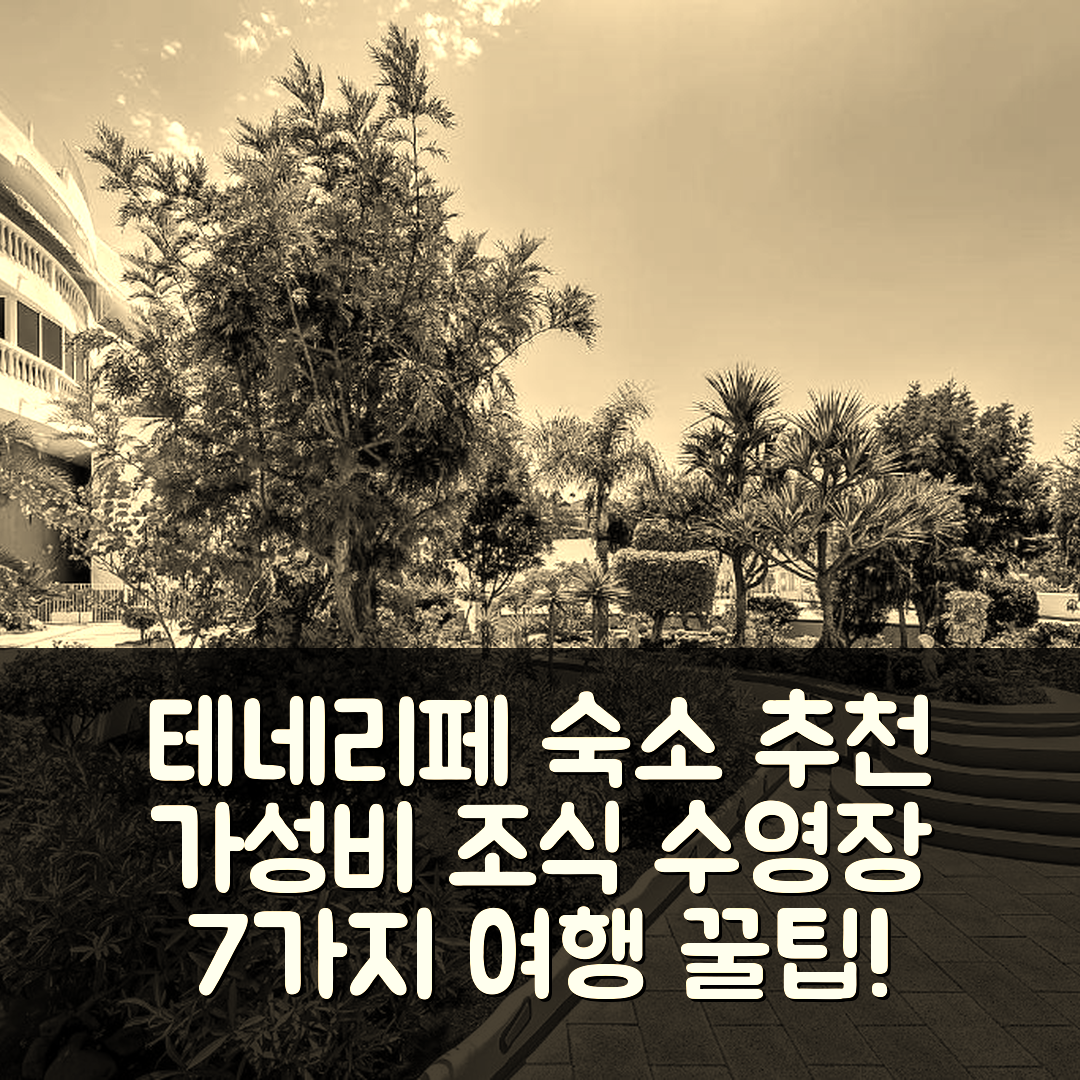 테네리페 숙소 여행 호텔 추천 빌라 라스 미모사스 | 가성비 뛰어난 조식과 수영장 정보를 위한 7가지 팁