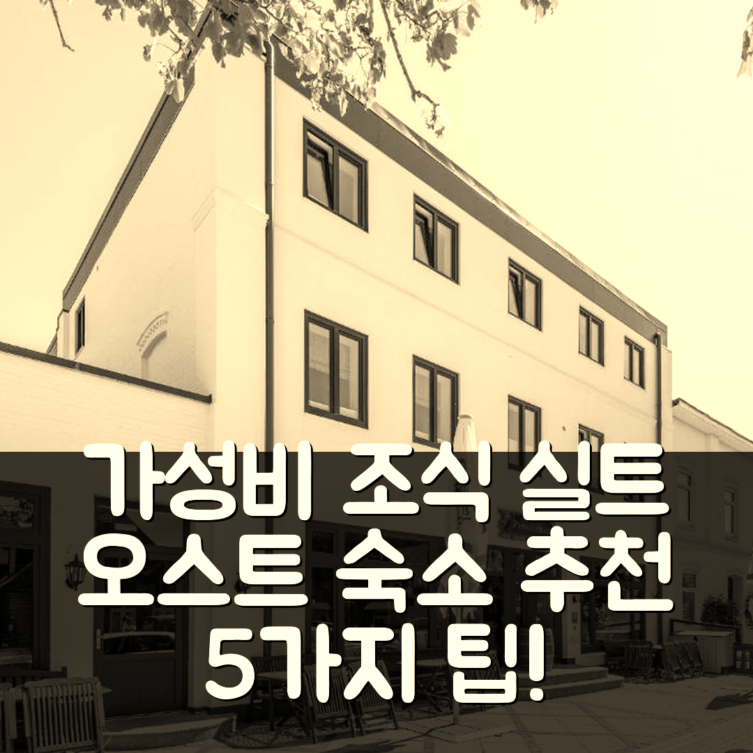 실트 오스트 숙소 여행 호텔 추천 스타트하우스 보이젠 제7 | 가성비 뛰어난 조식과 위치 정보 5가지 팁