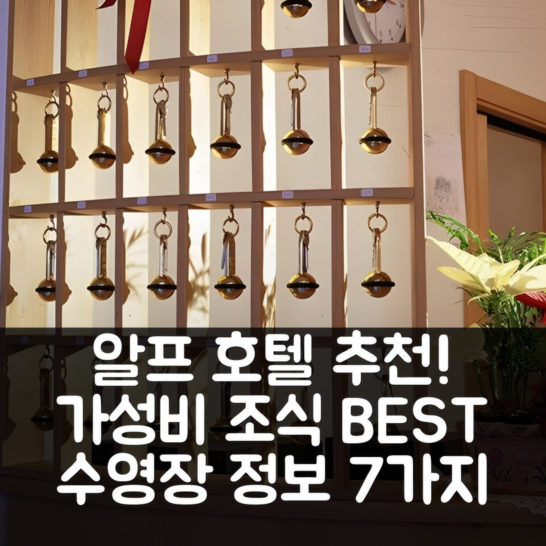 디마로 숙소 여행 호텔 추천 알프 호텔 돌로미티 | 가성비 최고의 조식과 수영장 정보 7가지