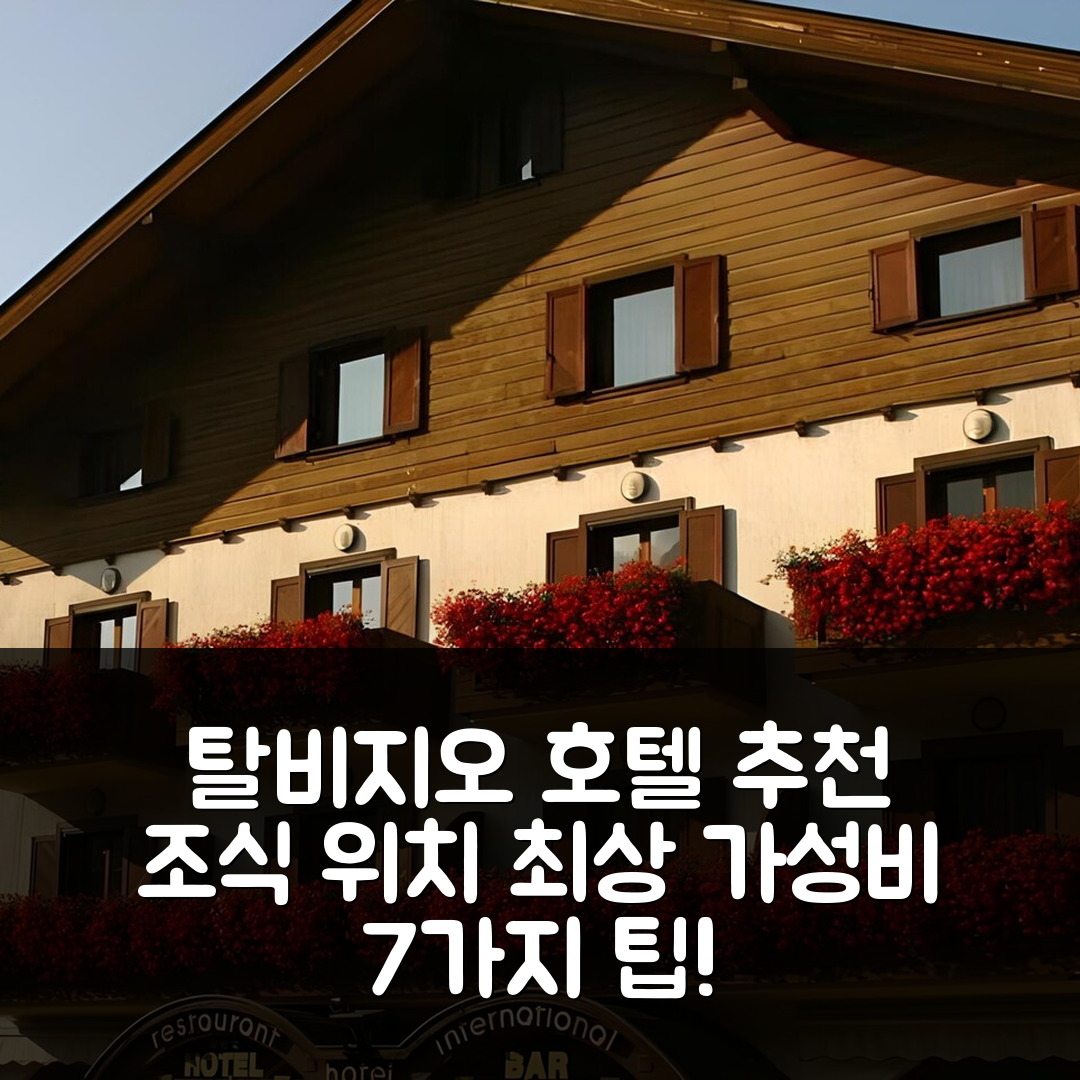 탈비지오 숙소 여행 호텔 추천 호텔 인터내셔널 | 조식과 위치가 우수한 4성급 가성비 여행 7가지 팁