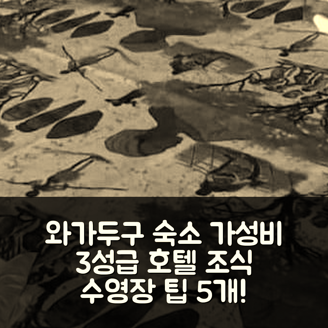 와가두구 숙소 여행 호텔 추천 레지던스 살타 | 가성비 뛰어난 3성급 조식과 수영장 활용 팁 5가지
