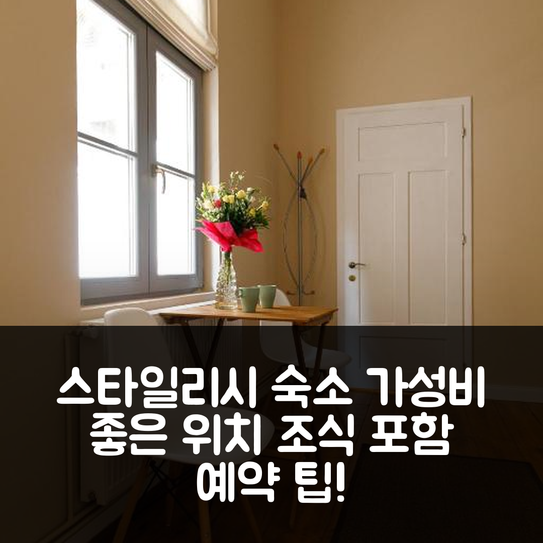티미쇼아라 숙소 여행 호텔 추천 스타일리시 플랫 인 더 하트 오브 히스토리컬 센터 | 가성비 좋은 위치와 조식 포함 예약 팁 5가지