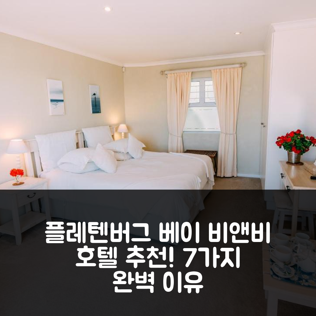 플레텐버그 베이 숙소 여행 호텔 추천 돌핀스 플레이그라운드 비치프론트 비앤비 | 가성비와 조식, 수영장으로 완벽한 여유 7가지 이유