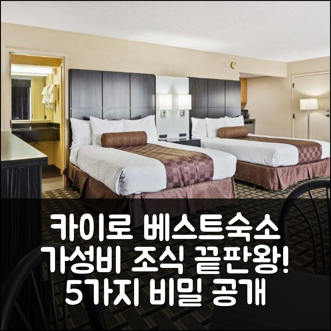 카이로 숙소 여행 호텔 추천 베스트웨스턴 이그제큐티브 인 | 가성비와 조식이 뛰어난 5가지 비밀