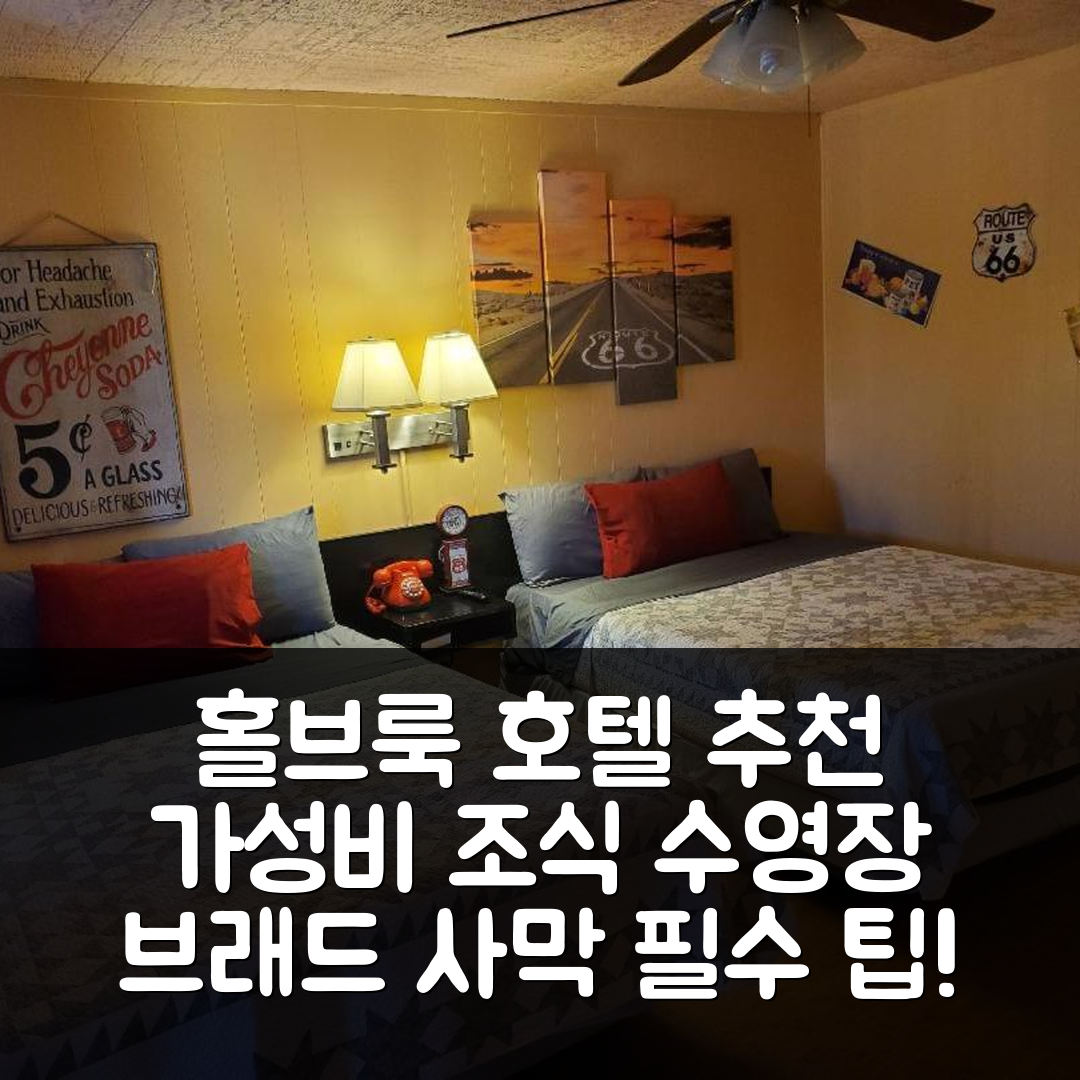 홀브룩 숙소 여행 호텔 추천 브래드 사막 인 | 가성비 뛰어난 조식과 수영장 위치 5가지 팁