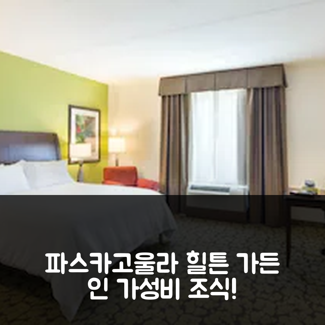 파스카고울라 숙소 여행 호텔 추천 힐튼 가든 인 패스커굴라 | 가성비와 조식이 뛰어난 5가지 이유