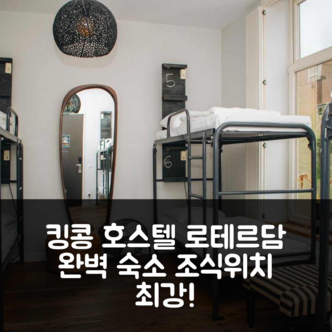 로테르담 숙소 여행 호텔 추천 킹콩 호스텔 | 가성비 좋은 조식과 최적의 위치로 완벽한 여행 준비 5가지