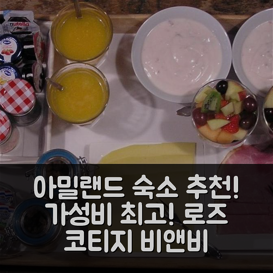 아밀랜드 숙소 여행 호텔 추천 로즈 코티지 비앤비 | 조식과 가성비 뛰어난 5가지 예약 팁