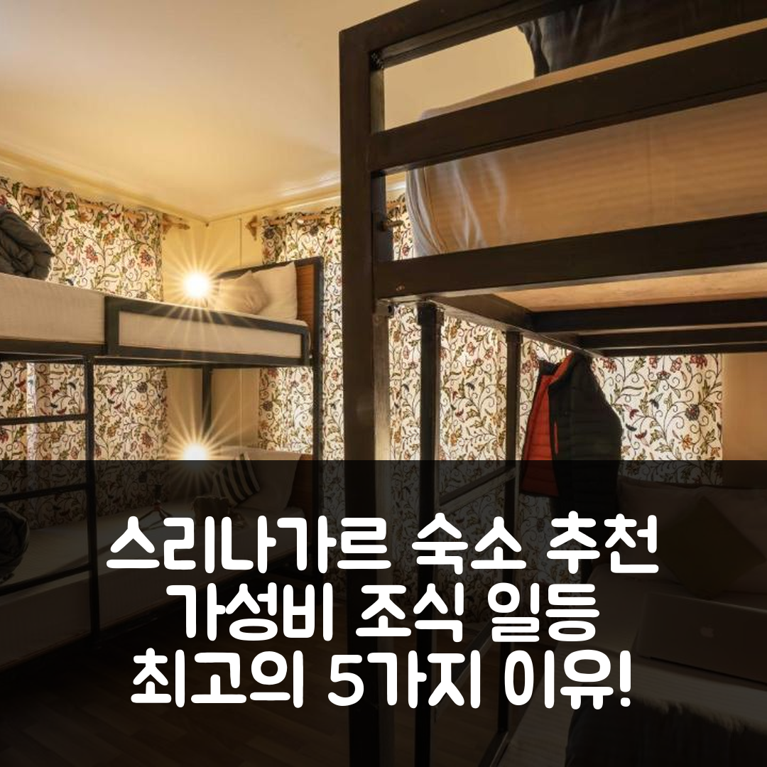 스리나가르 숙소 여행 호텔 추천 조스텔 스리나가르 | 가성비와 조식이 뛰어난 5가지 이유