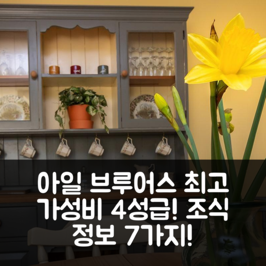 아일 브루어스 숙소 여행 호텔 추천 700 웨스트포트 | 4성급 최고의 가성비와 조식 정보 7가지
