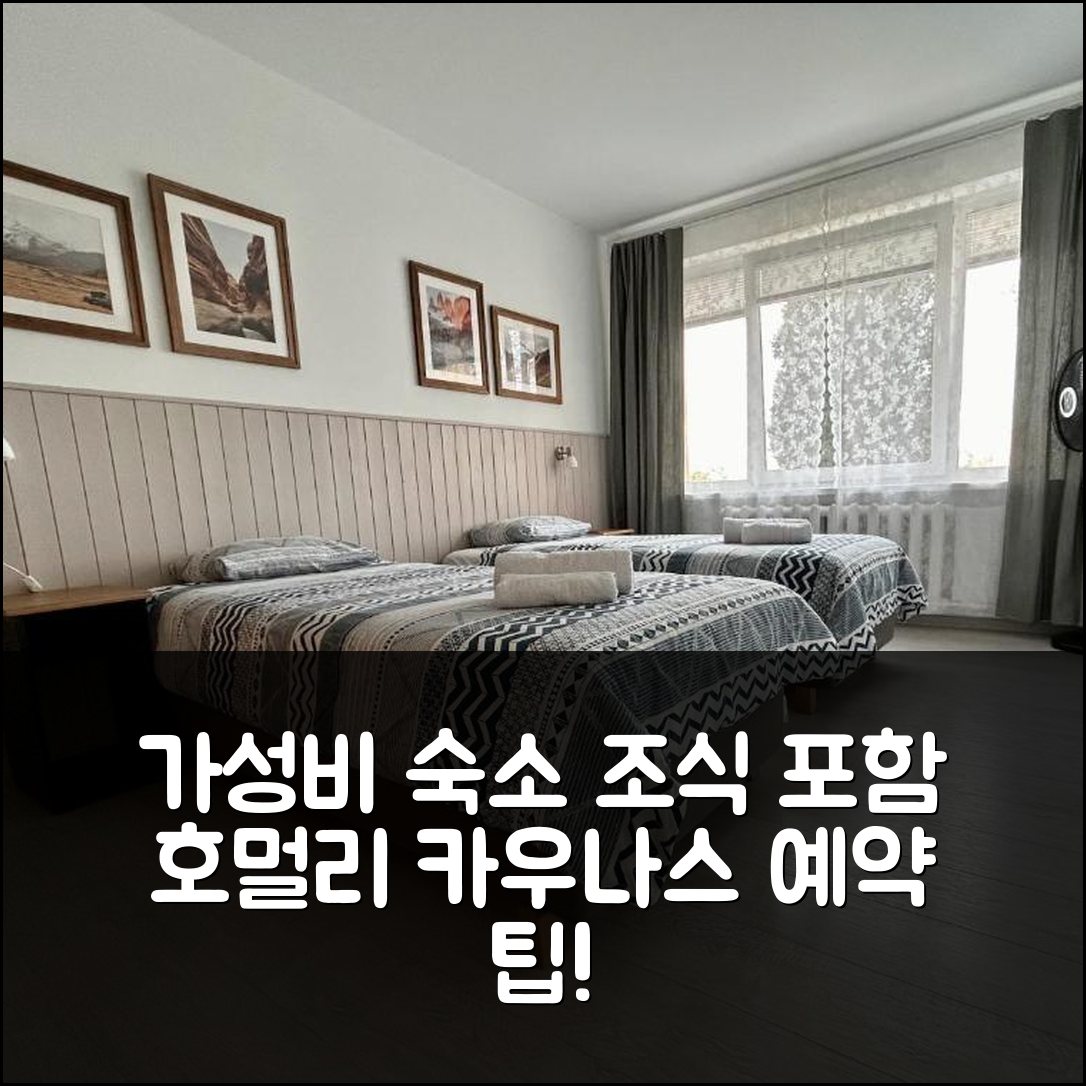 카우나스 숙소 여행 호텔 추천 호멀리 아파트먼트 | 조식과 가성비가 뛰어난 위치 및 예약 팁 7가지