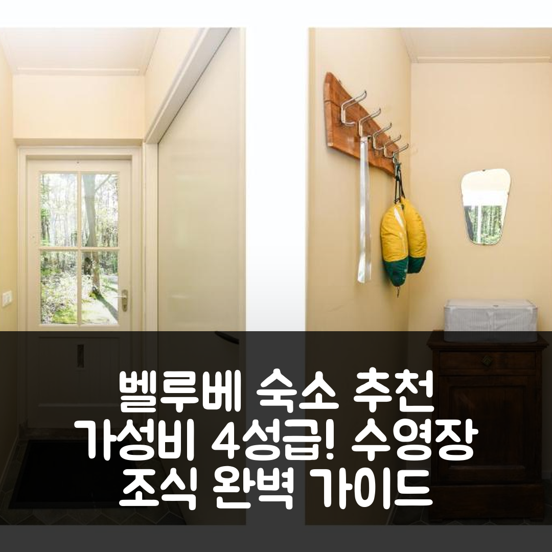 에더 숙소 여행 호텔 추천 티네 보쉬위제 벨루베 | 가성비 뛰어난 4성급 조식 및 수영장 완벽 가이드 8가지
