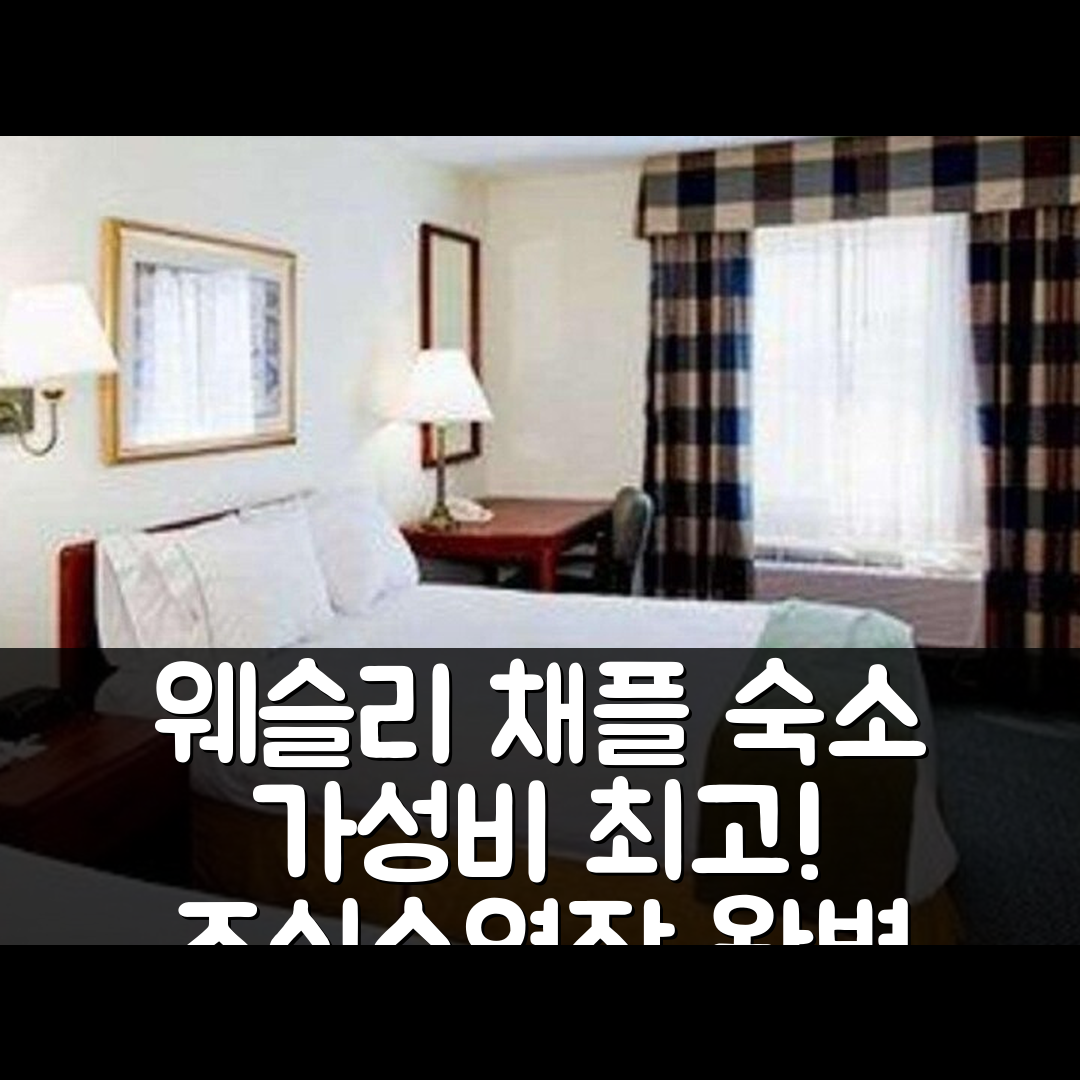 웨슬리 채플 숙소 여행 호텔 추천 이코노 로지 | 가성비 최고 조식과 수영장 있는 5가지 이유