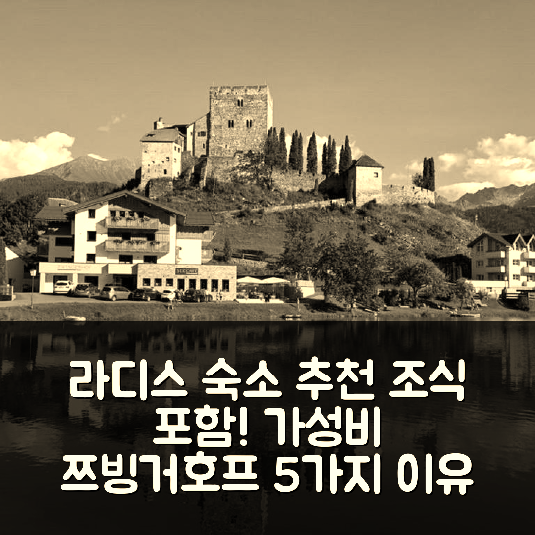 라디스 숙소 여행 호텔 추천 아파트 쯔빙거호프 | 조식과 가성비 뛰어난 5가지 이유